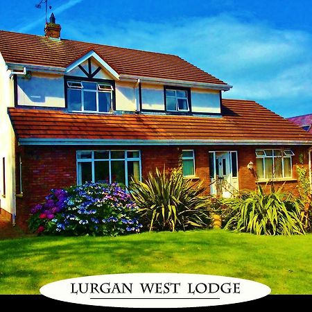 Lurgan West Lodge Randalstown Exteriér fotografie